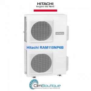 6 postes Hitachi RAM-110NP6B